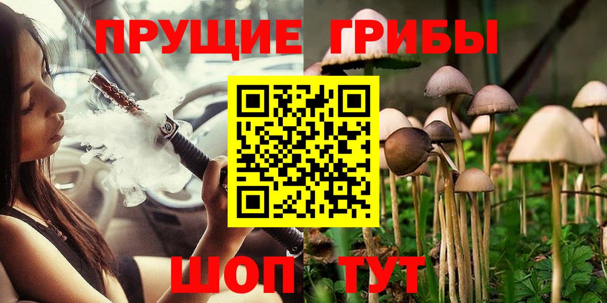 где купить   Галлюциногенные грибы Cubensis  Вход с VPN  Горячий Ключ  Псилоцибиновые грибы прущие грибы 